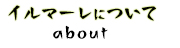 イルマーレについて